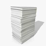 Stack of Papers