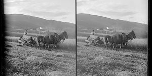 Reaping machine, 1880-1925, New Zealand, by Crombie and Permin. Identifier: B.079705.