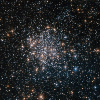 Stars Stars